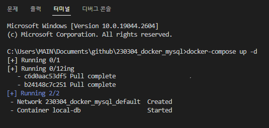 MySQL | 도커 Docker MySQL DB 설치 1 image 2